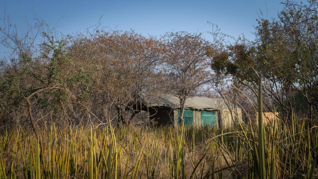 Boteti Tented Safari Lodge Maun Esterno foto